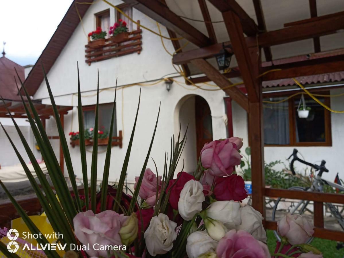 Casa Toth Din Tipterai Hotel Viseu de Sus Exterior photo
